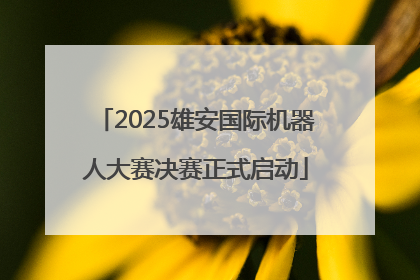 2025雄安国际机器人大赛决赛正式启动