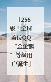 256级！全球首位QQ“金企鹅”等级用户诞生
