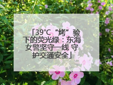 39℃“烤”验下的荧光绿：东海女警坚守一线 守护交通安全