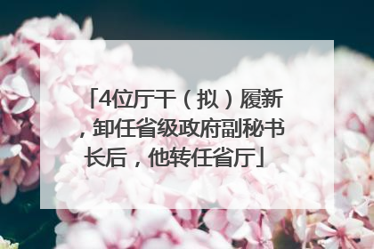 4位厅干（拟）履新，卸任省级政府副秘书长后，他转任省厅