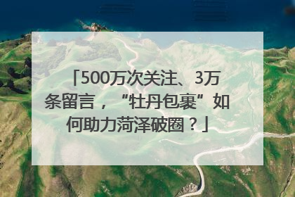 500万次关注、3万条留言，“牡丹包裹”如何助力菏泽破圈？