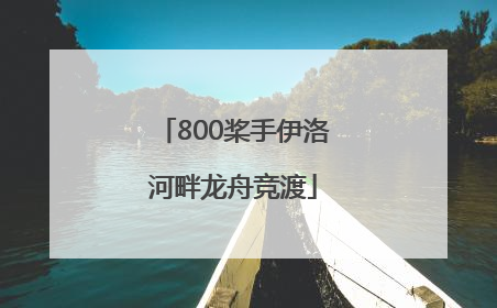 800桨手伊洛河畔龙舟竞渡
