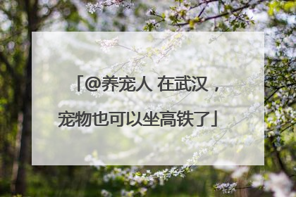 @养宠人 在武汉，宠物也可以坐高铁了