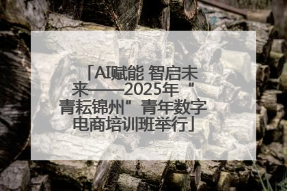 AI赋能 智启未来——2025年“青耘锦州”青年数字电商培训班举行