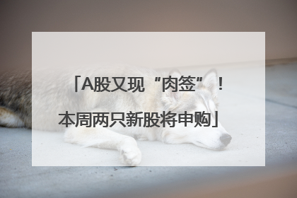 A股又现“肉签”！本周两只新股将申购