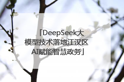 DeepSeek大模型技术落地江汉区 AI赋能智慧政务