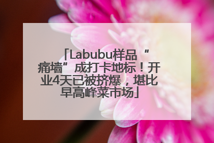 Labubu样品“痛墙”成打卡地标！开业4天已被挤爆，堪比早高峰菜市场