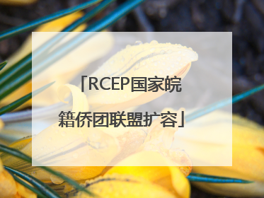 RCEP国家皖籍侨团联盟扩容